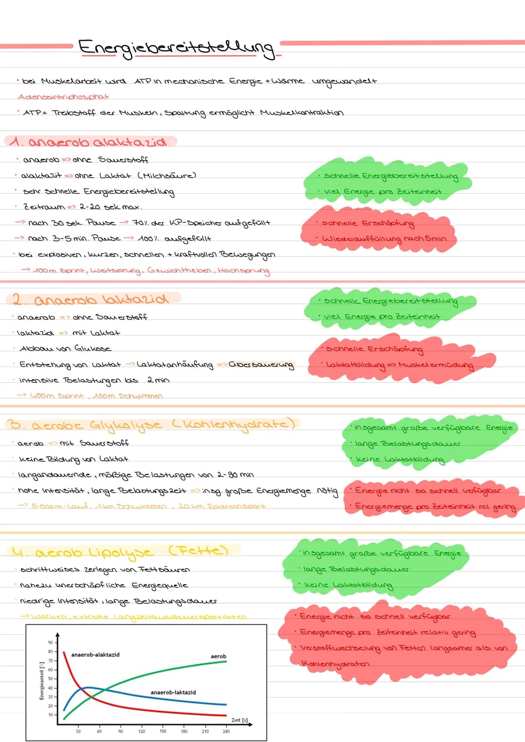 • bei Muskelarbeit wird.
Adenosintriphosphat
• ATP = Treibstoff der Muskeln, Spaltung ermöglicht Muskelkontraktion.
Energiebereitstellung
1.