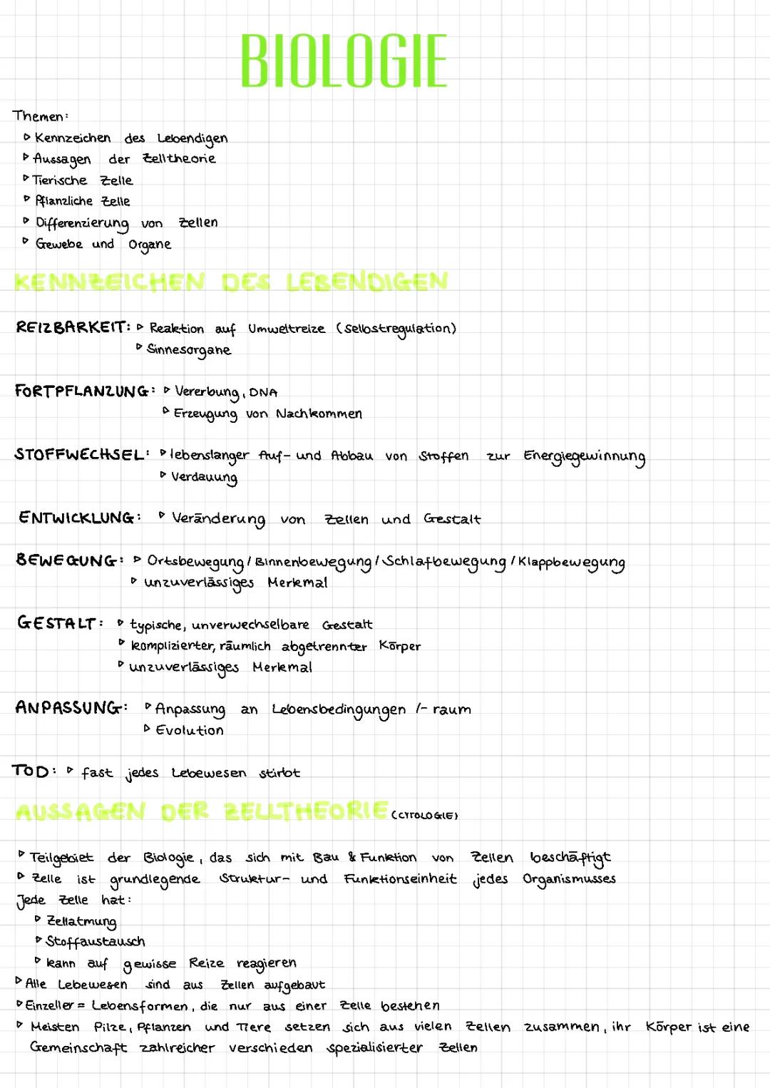 Vergleich Tierische und Pflanzliche Zelle - Arbeitsblatt, Tabelle und Aufbau