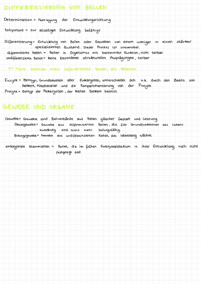 Themen:
▸ Kennzeichen des Lebendigen
▷ Aussagen
der Zelltheorie
Tierische Zelle
Pflanzliche Zelle
▸ Differenzierung von Zellen
▷ Gewebe und 
