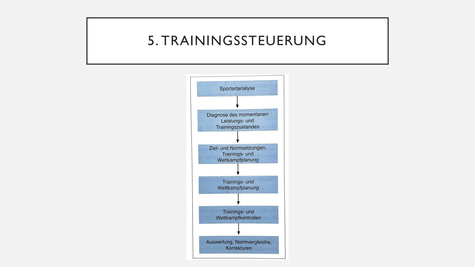 TRAININGSPLANUNG UND
STEUERUNG DES LANGFRISTIGEN
TRAININGSPROZESSES
von Celina Schneider und Sina Hradetzky Sina Hradetzky und Celina Schnei