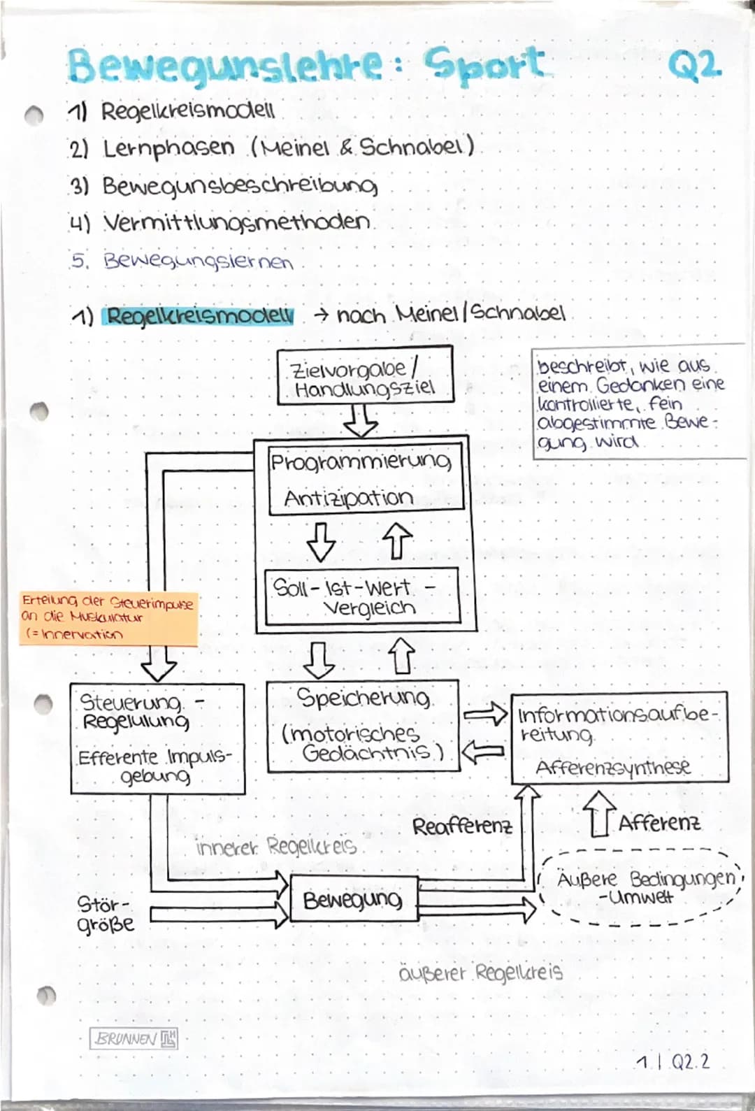 Bewegunslehre: Sport
1) Regelkretsmodell
2) Lernphasen (Meinel & Schnabel)
3) Bewegunsbeschreibung
4) Vermittlungsmethoden.
5. Bewegungslern