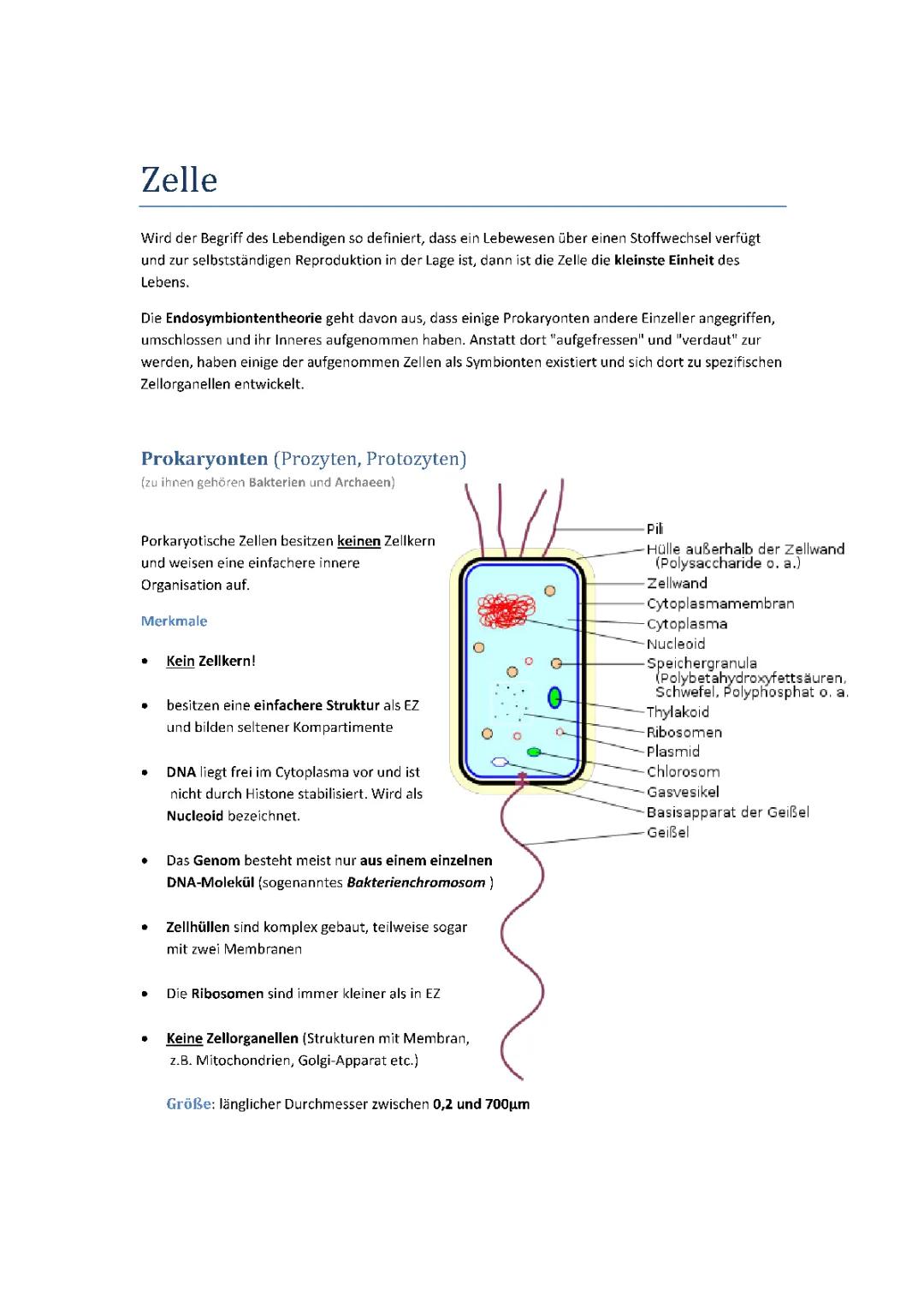 Grundlagen der Biologie 