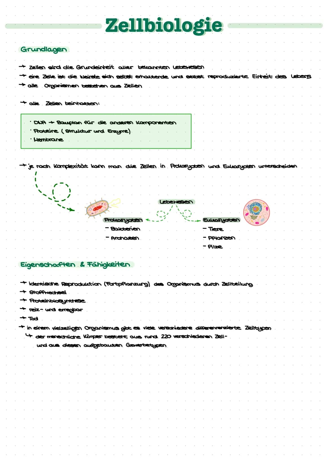 Grundlagen.
Zellbiologie
→ Zellen sind die Grundeinheit aller bekannten Lebewesen
eine Zelle ist die kleinste sich selbst erhaltende und sel