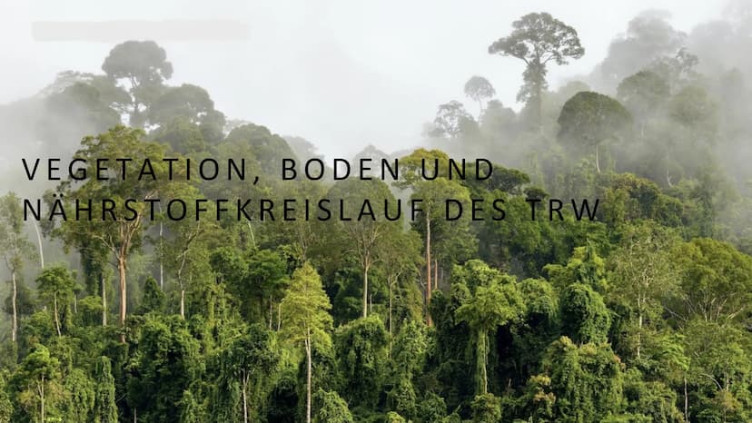 Geografie
Handout Vegetation, Boden und Nährstoffkreislauf
im tropischen Regenwald
Vegetation
Der tropische Regenwald ist die dichteste und 