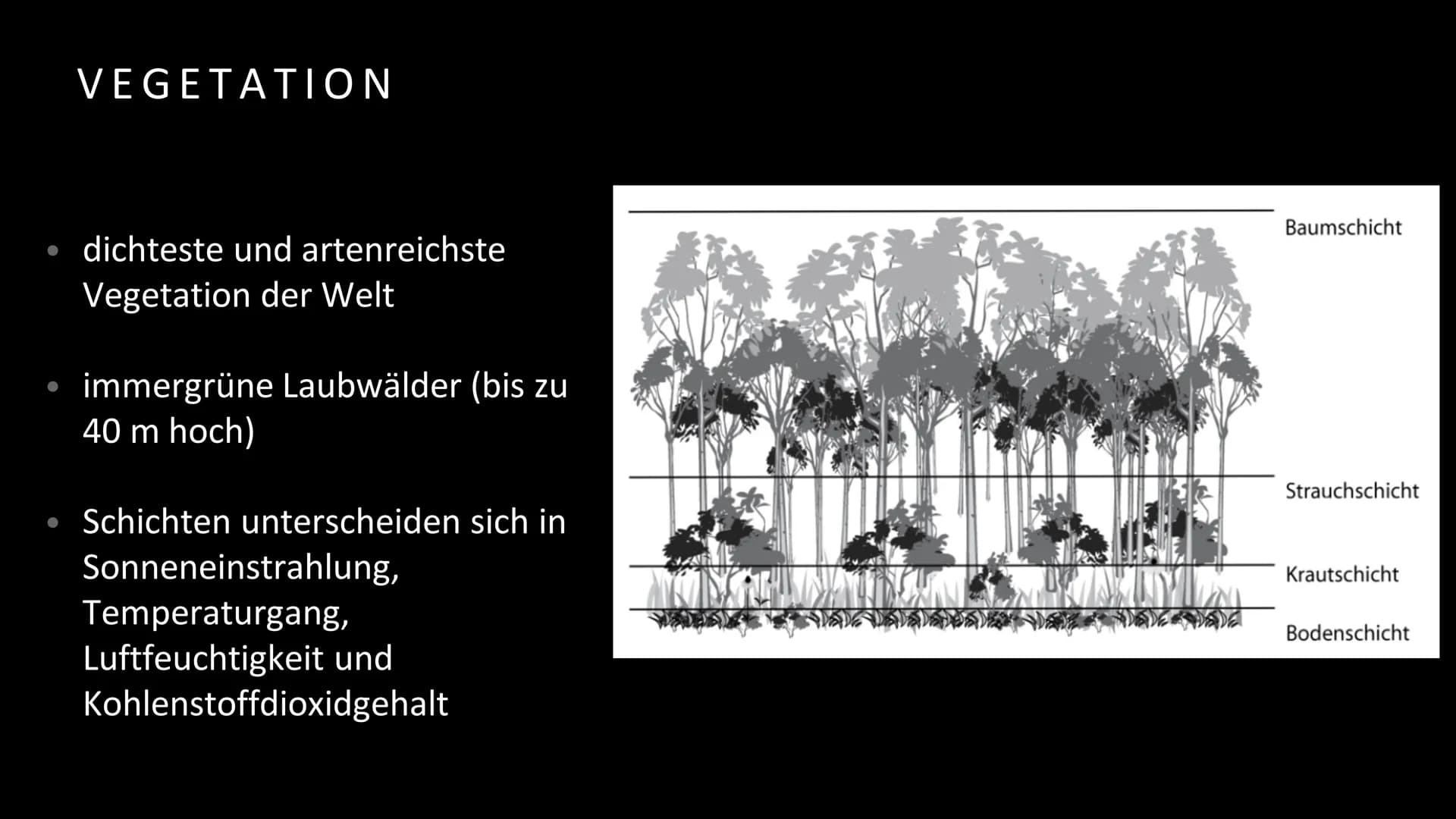 Geografie
Handout Vegetation, Boden und Nährstoffkreislauf
im tropischen Regenwald
Vegetation
Der tropische Regenwald ist die dichteste und 