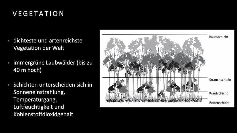 Geografie
Handout Vegetation, Boden und Nährstoffkreislauf
im tropischen Regenwald
Vegetation
Der tropische Regenwald ist die dichteste und 