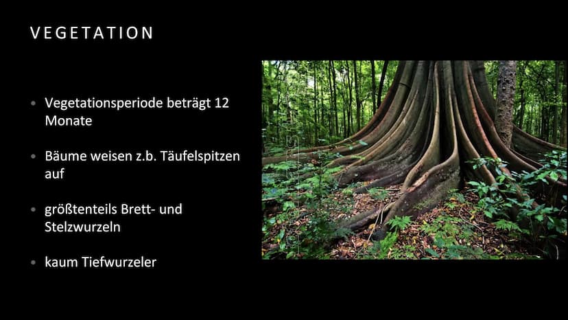 Geografie
Handout Vegetation, Boden und Nährstoffkreislauf
im tropischen Regenwald
Vegetation
Der tropische Regenwald ist die dichteste und 