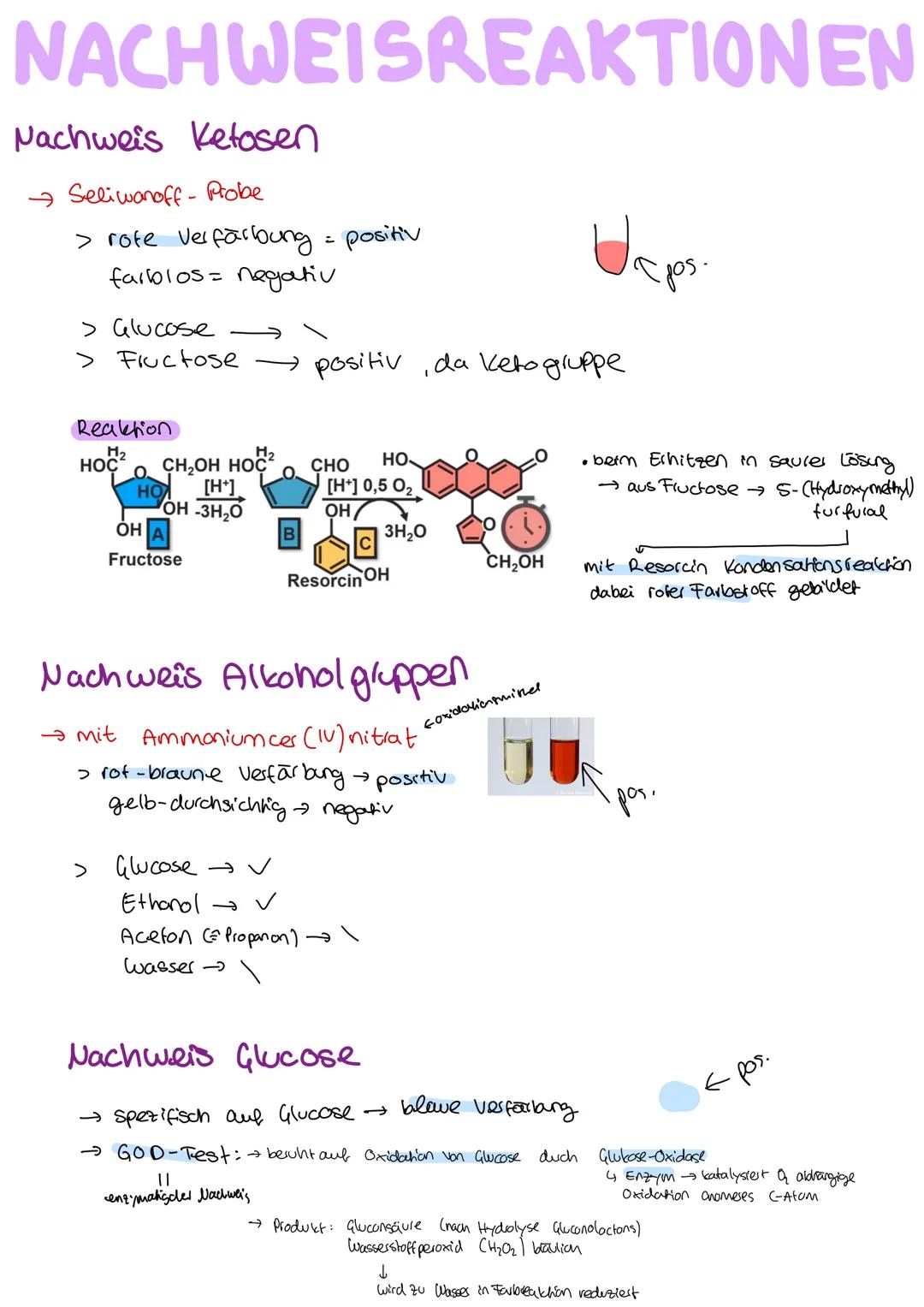 Organische Chemie
C
Lernzettel
Kohlenhydrate
1. Klausur
Q2
chemie LK KOHLENHYDRATE
ÜBERBLICK
Aldehyde
ketone
→ Kohlenhydrate
→ Kohlenstoff +