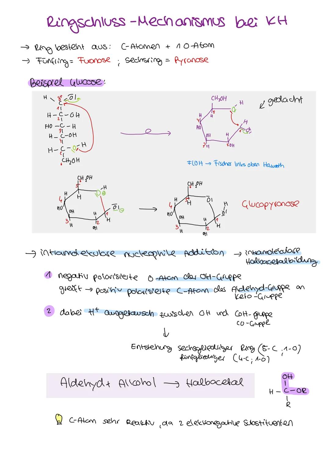 Organische Chemie
C
Lernzettel
Kohlenhydrate
1. Klausur
Q2
chemie LK KOHLENHYDRATE
ÜBERBLICK
Aldehyde
ketone
→ Kohlenhydrate
→ Kohlenstoff +