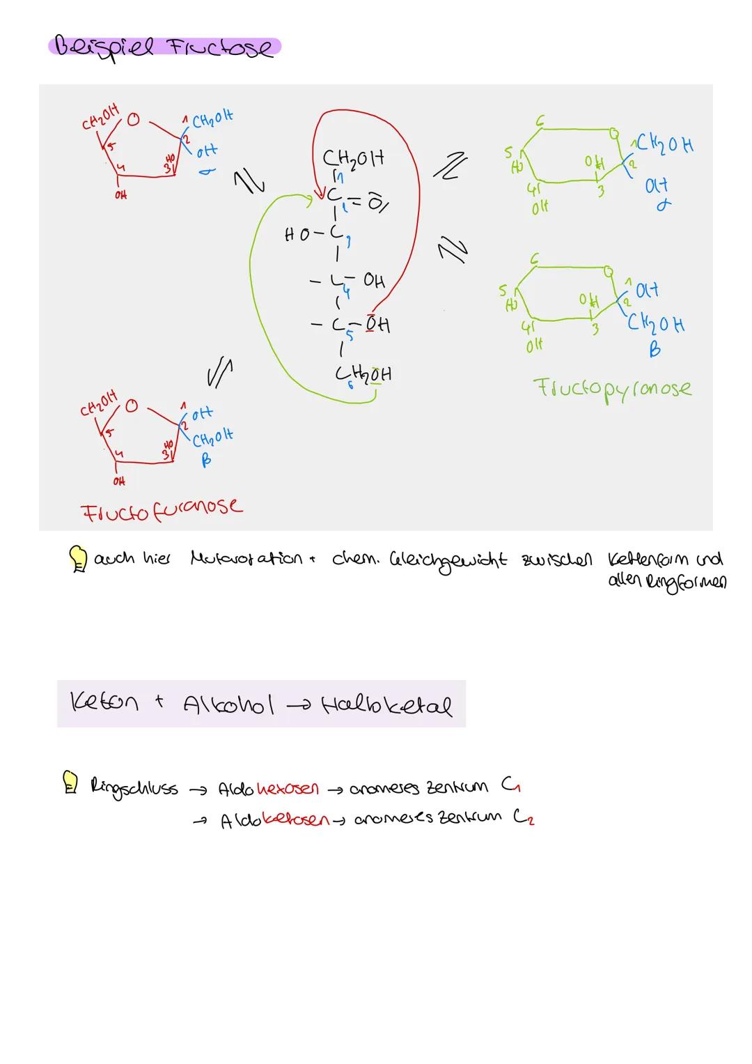 Organische Chemie
C
Lernzettel
Kohlenhydrate
1. Klausur
Q2
chemie LK KOHLENHYDRATE
ÜBERBLICK
Aldehyde
ketone
→ Kohlenhydrate
→ Kohlenstoff +