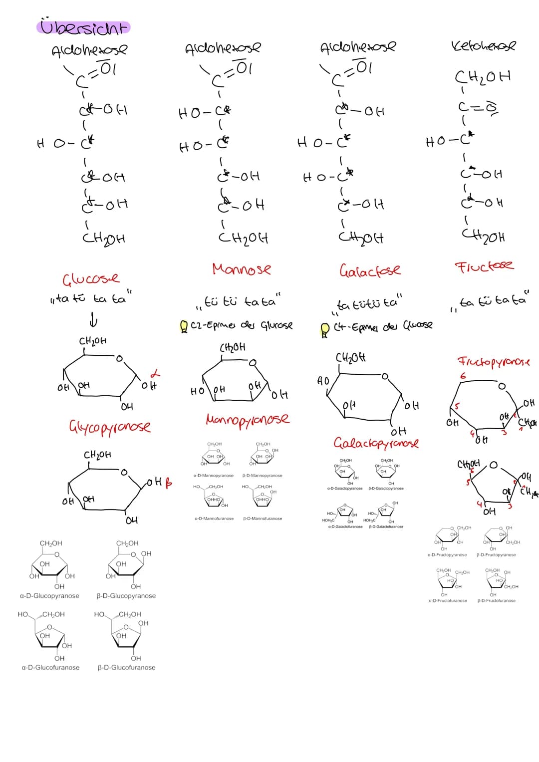 Organische Chemie
C
Lernzettel
Kohlenhydrate
1. Klausur
Q2
chemie LK KOHLENHYDRATE
ÜBERBLICK
Aldehyde
ketone
→ Kohlenhydrate
→ Kohlenstoff +