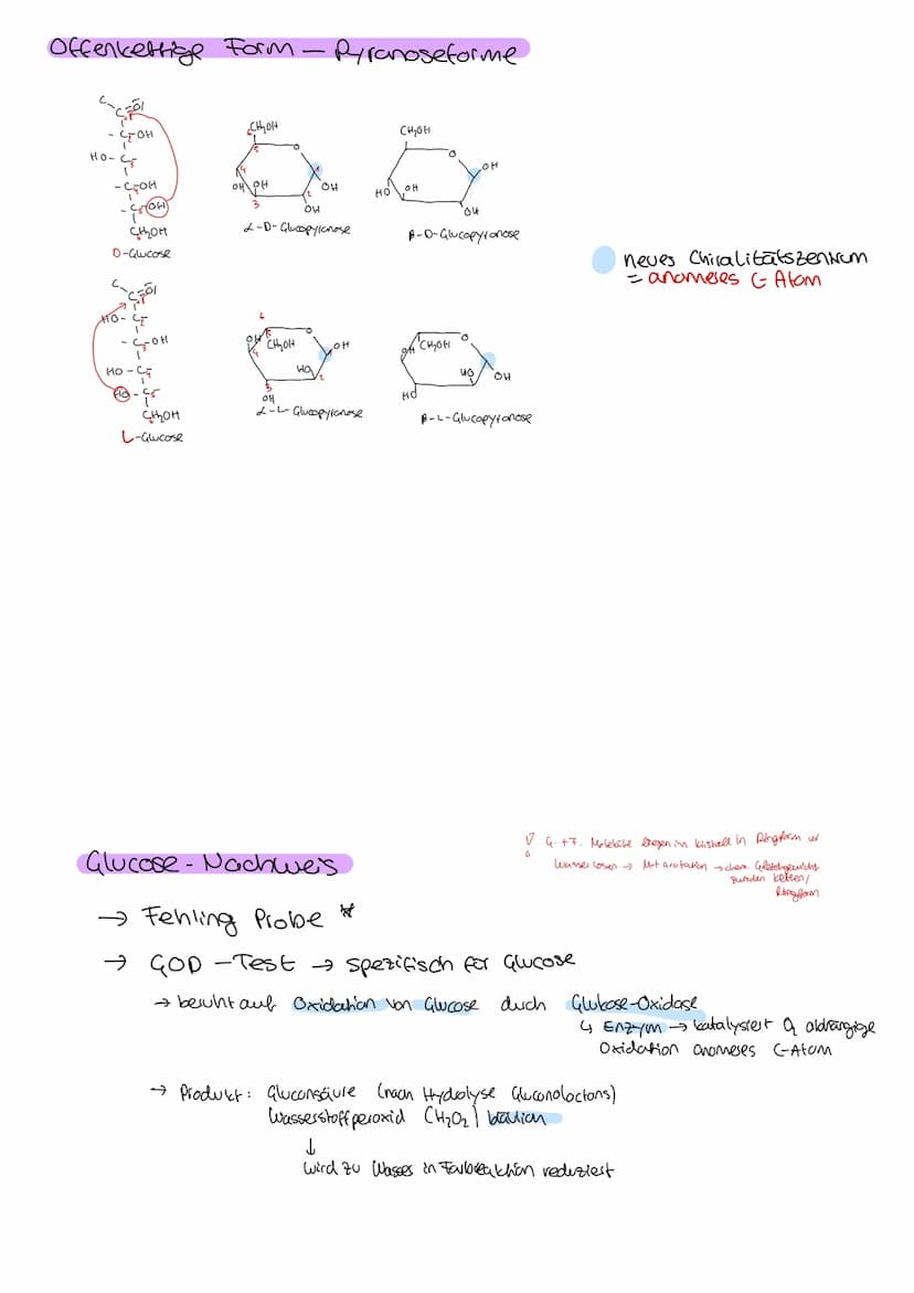Organische Chemie
C
Lernzettel
Kohlenhydrate
1. Klausur
Q2
chemie LK KOHLENHYDRATE
ÜBERBLICK
Aldehyde
ketone
→ Kohlenhydrate
→ Kohlenstoff +