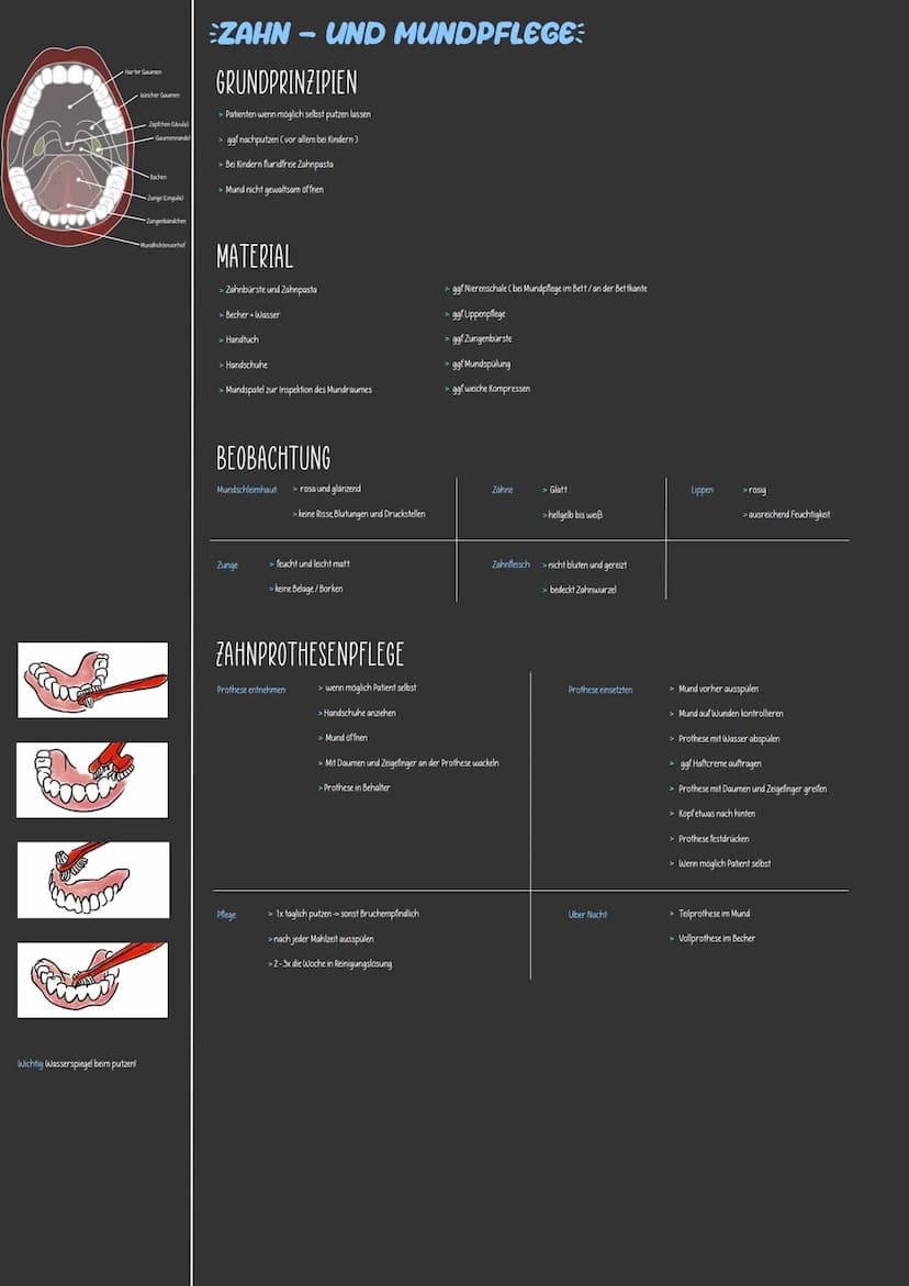 varianten:
> Hautpflege
> Zahn- und Mundpflege
> Augen-/Nasen-/Ohrenpflege
> Intimspflege
> Haarpflege
Körperpflege und Kleidung dienen
> de