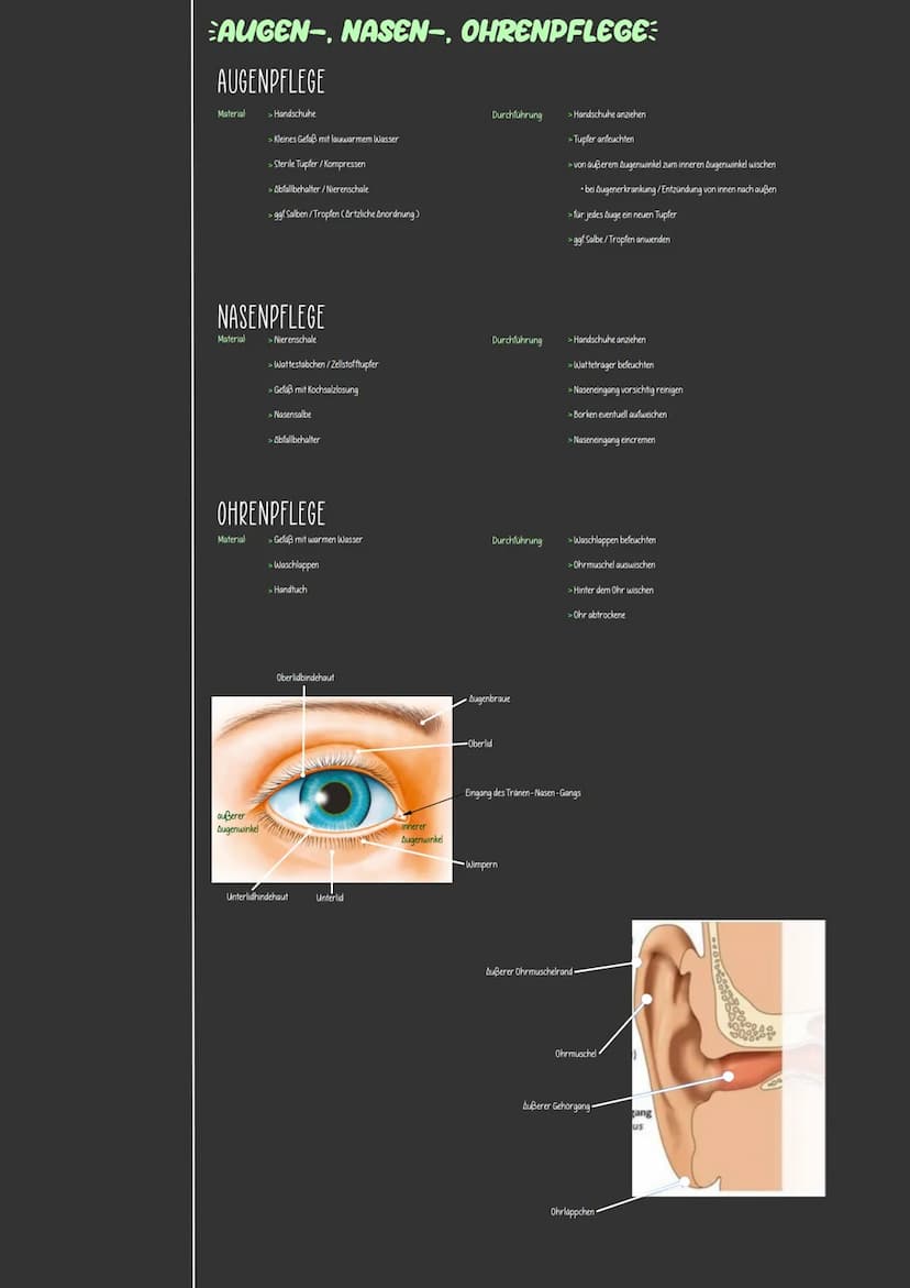 varianten:
> Hautpflege
> Zahn- und Mundpflege
> Augen-/Nasen-/Ohrenpflege
> Intimspflege
> Haarpflege
Körperpflege und Kleidung dienen
> de