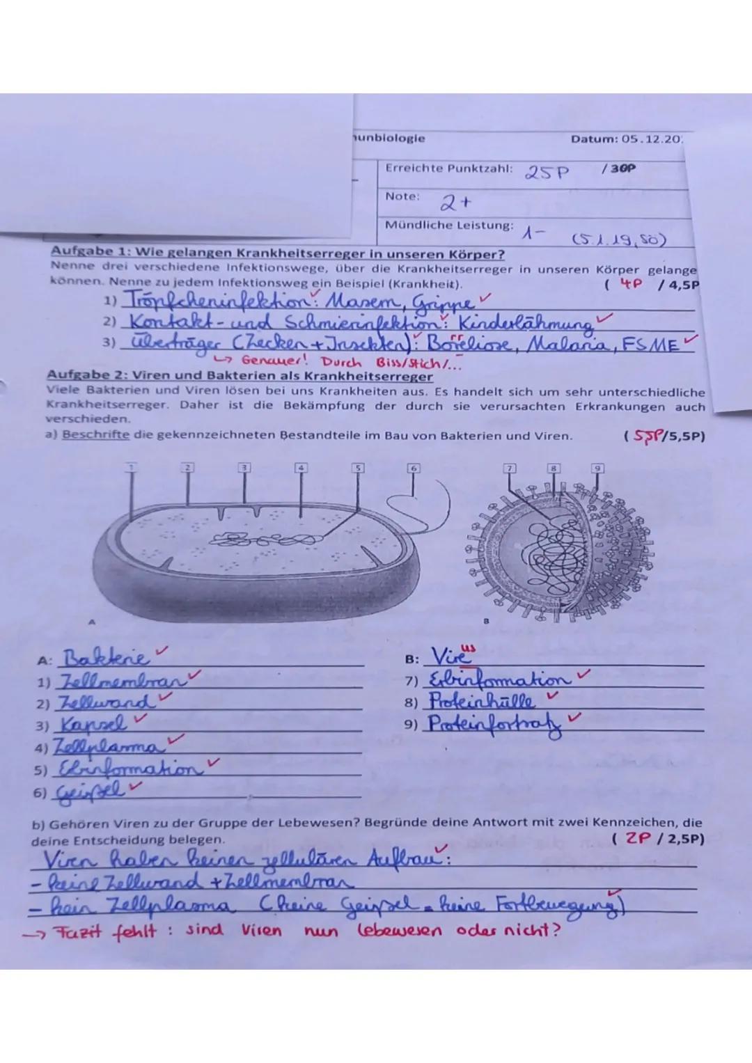 Krankheitserreger: Was du über Viren, Bakterien und ihre Symptome wissen musst