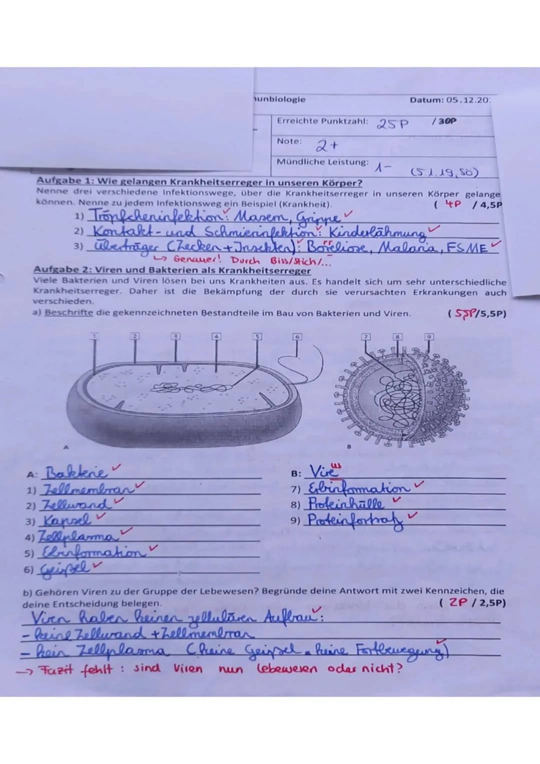 <h2 id="eintrittspfortenfrkrankheitserregerundbertragungswege">Eintrittspforten für Krankheitserreger und Übertragungswege</h2>
<p>Wie gelan