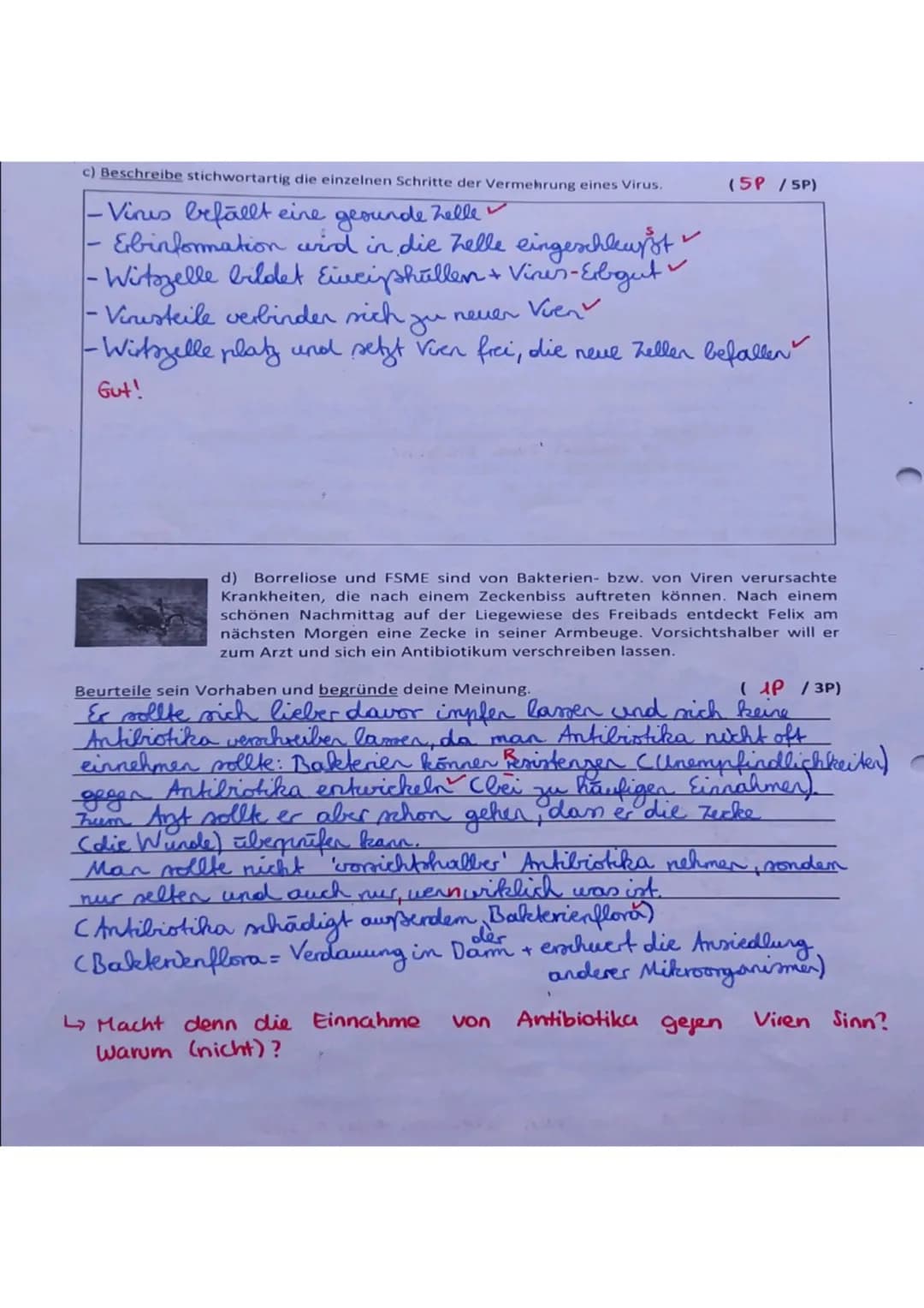 <h2 id="eintrittspfortenfrkrankheitserregerundbertragungswege">Eintrittspforten für Krankheitserreger und Übertragungswege</h2>
<p>Wie gelan