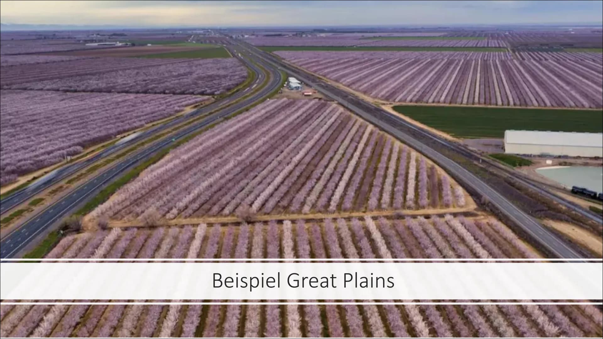 Agrobusiness
USA und
Europa/gemäßigte Zone
Merle Fiebig O
Inhaltsverzeichnis
1. Definition Agrobusiness
2. Agroindustrielles Unternehmen
3. 