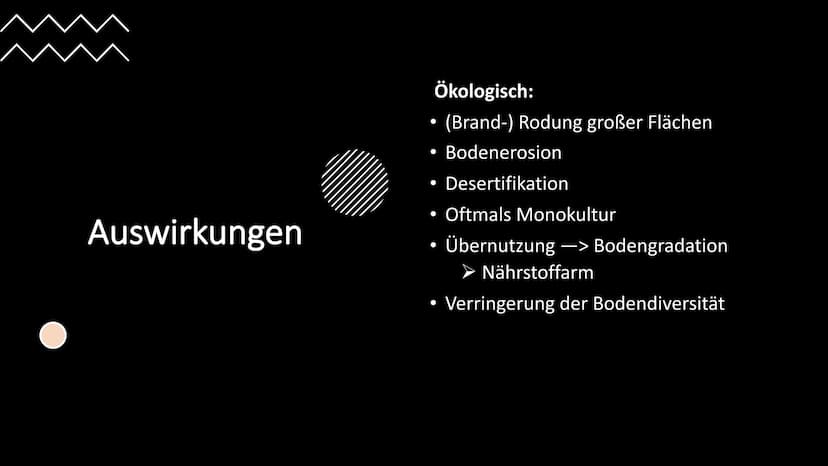 Agrobusiness
USA und
Europa/gemäßigte Zone
Merle Fiebig O
Inhaltsverzeichnis
1. Definition Agrobusiness
2. Agroindustrielles Unternehmen
3. 