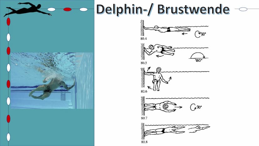Schwimmen
Helena Kuntzsch 2021 1. Geschichte
2. Technik
2.1 Delphin
2.2 Rücken
2.3 Brust
2.4 Kraul
2.5 Startsprünge
3. Wettkämpfe
3.1 Streck