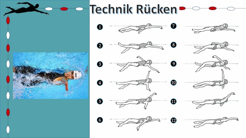 Schwimmen
Helena Kuntzsch 2021 1. Geschichte
2. Technik
2.1 Delphin
2.2 Rücken
2.3 Brust
2.4 Kraul
2.5 Startsprünge
3. Wettkämpfe
3.1 Streck