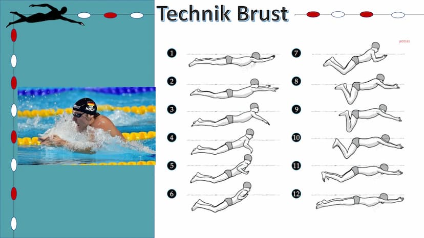 Schwimmen
Helena Kuntzsch 2021 1. Geschichte
2. Technik
2.1 Delphin
2.2 Rücken
2.3 Brust
2.4 Kraul
2.5 Startsprünge
3. Wettkämpfe
3.1 Streck