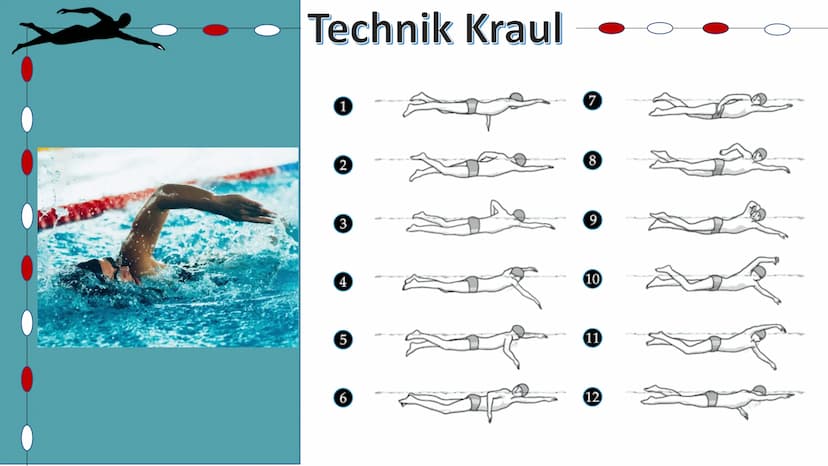 Schwimmen
Helena Kuntzsch 2021 1. Geschichte
2. Technik
2.1 Delphin
2.2 Rücken
2.3 Brust
2.4 Kraul
2.5 Startsprünge
3. Wettkämpfe
3.1 Streck