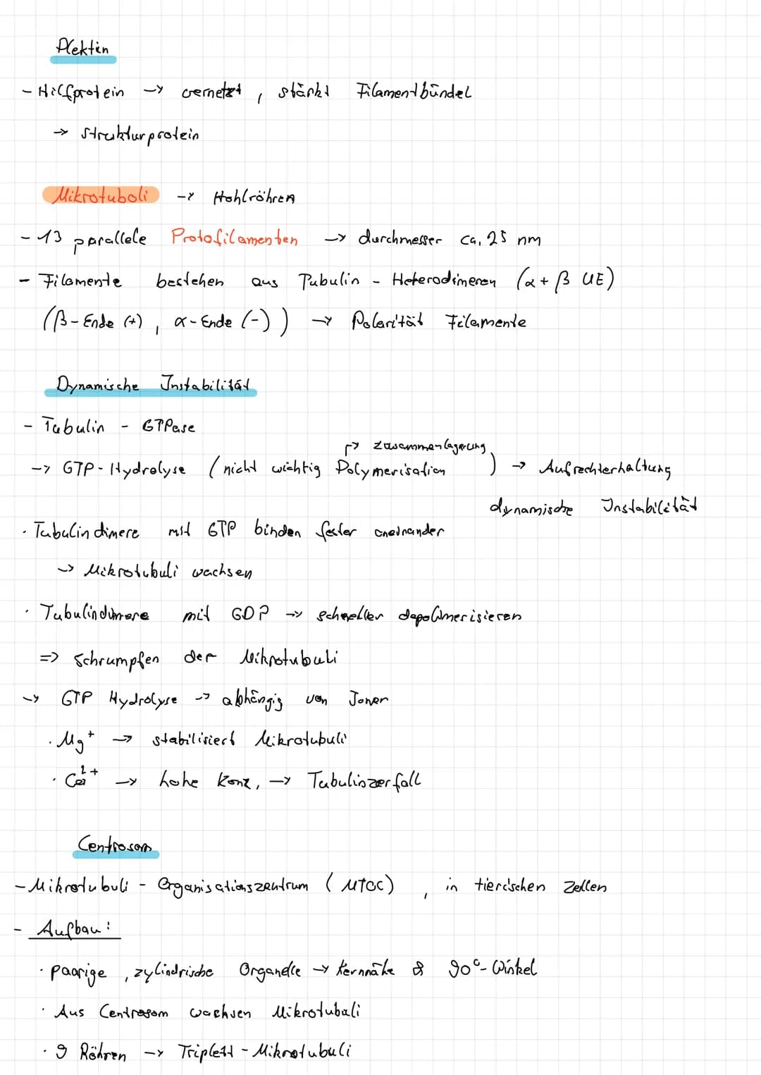 Intermediar filamente
Im Cytoplasma:
Zellbern:
1
1. Monomer !
Aufbau
- Seile", lange, gedrehte Proteinstange
·Desmosomen
·Keratine - Epithel