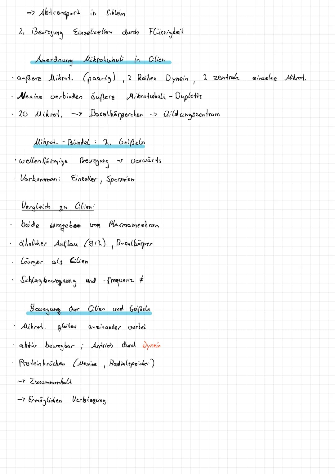 Intermediar filamente
Im Cytoplasma:
Zellbern:
1
1. Monomer !
Aufbau
- Seile", lange, gedrehte Proteinstange
·Desmosomen
·Keratine - Epithel