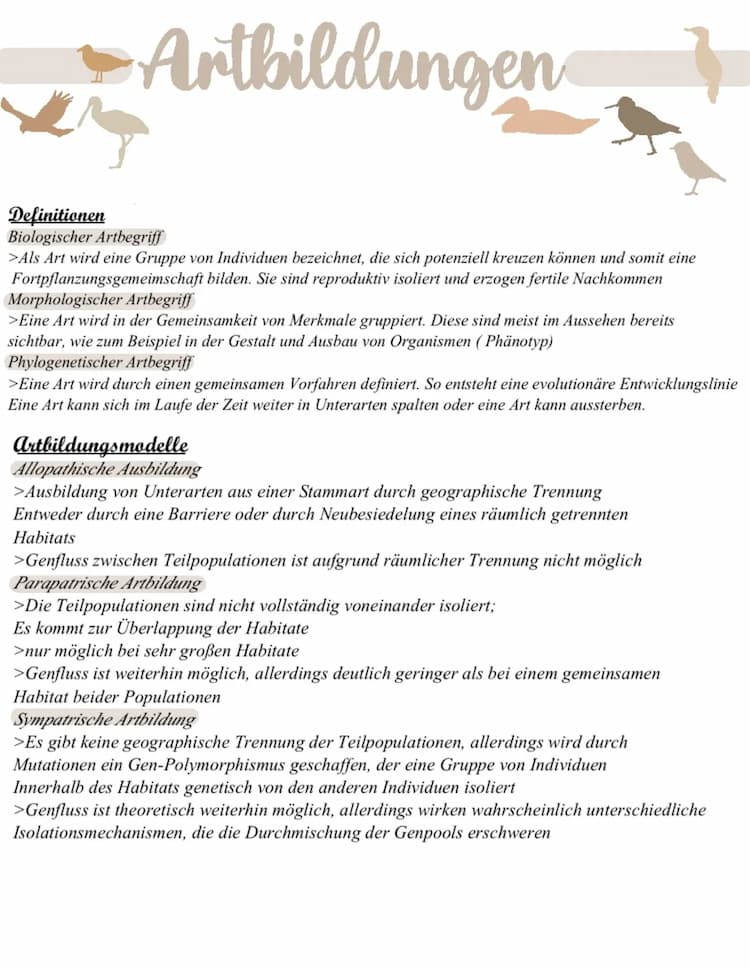 Know Artbildung thumbnail