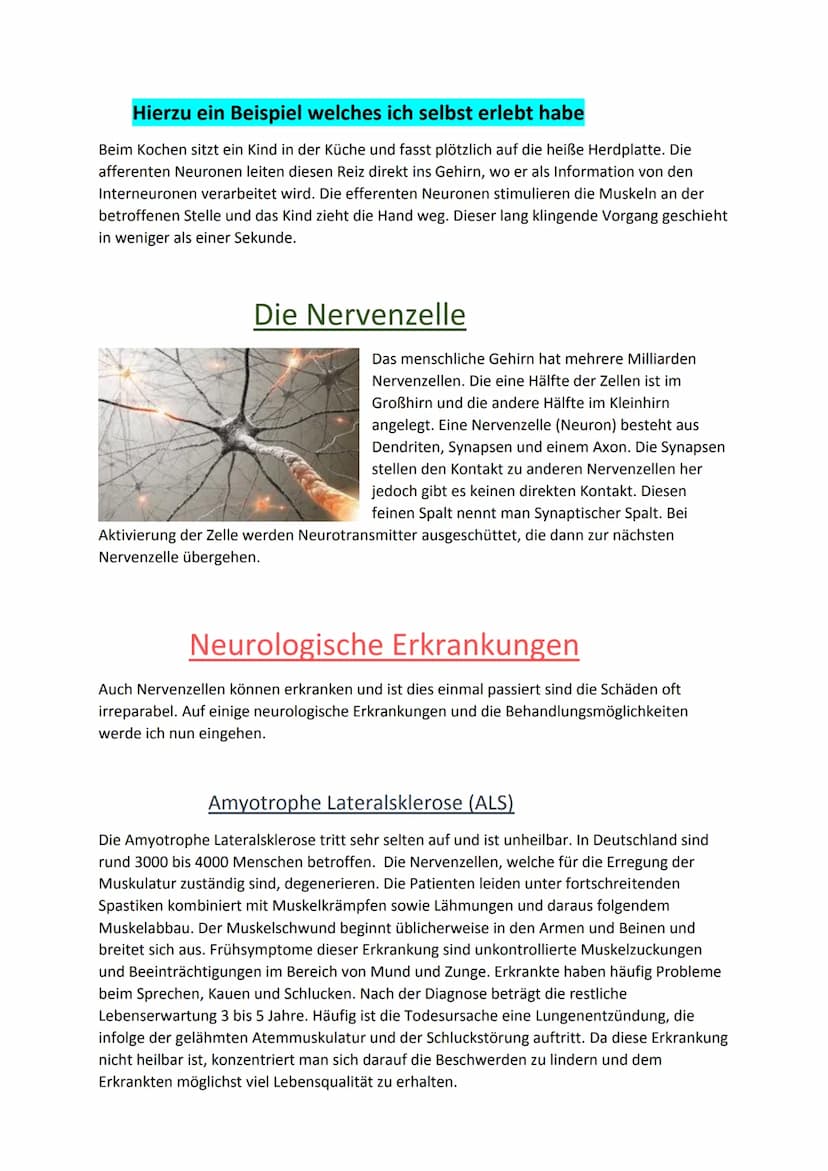 Hausarbeit Neurobiologie
Die Neurobiologie befasst sich mit dem Aufbau und der Funktionsweise des Nervensystems.
Die wissenschaftlichen Schw