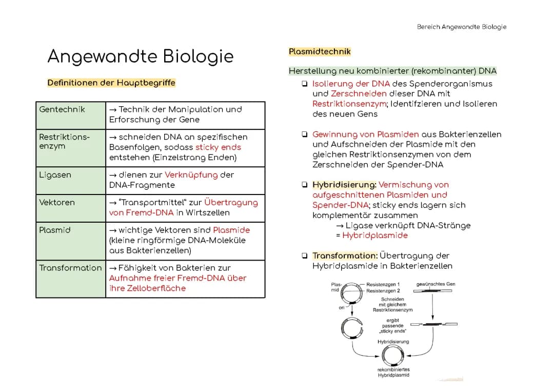 Angewandte Genetik: Biologie-Lernzettel für das Abitur 2021