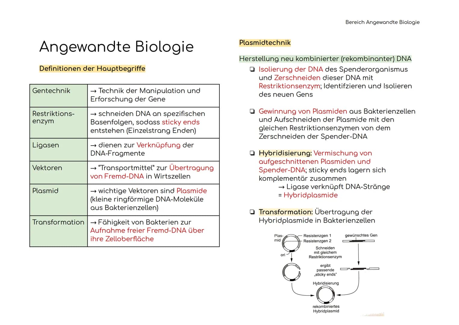 Angewandte Biologie
Definitionen der Hauptbegriffe
Gentechnik
Restriktions-
enzym
Ligasen
Vektoren
Plasmid
→ Technik der Manipulation und
Er