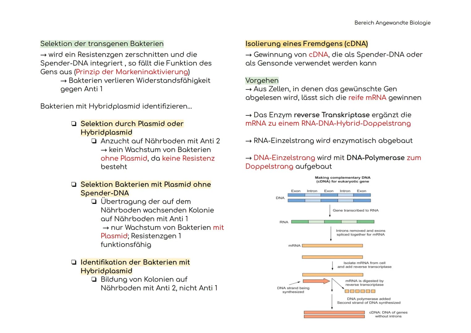 Angewandte Biologie
Definitionen der Hauptbegriffe
Gentechnik
Restriktions-
enzym
Ligasen
Vektoren
Plasmid
→ Technik der Manipulation und
Er