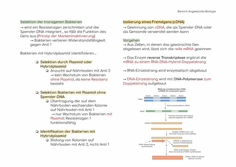 Angewandte Biologie
Definitionen der Hauptbegriffe
Gentechnik
Restriktions-
enzym
Ligasen
Vektoren
Plasmid
→ Technik der Manipulation und
Er