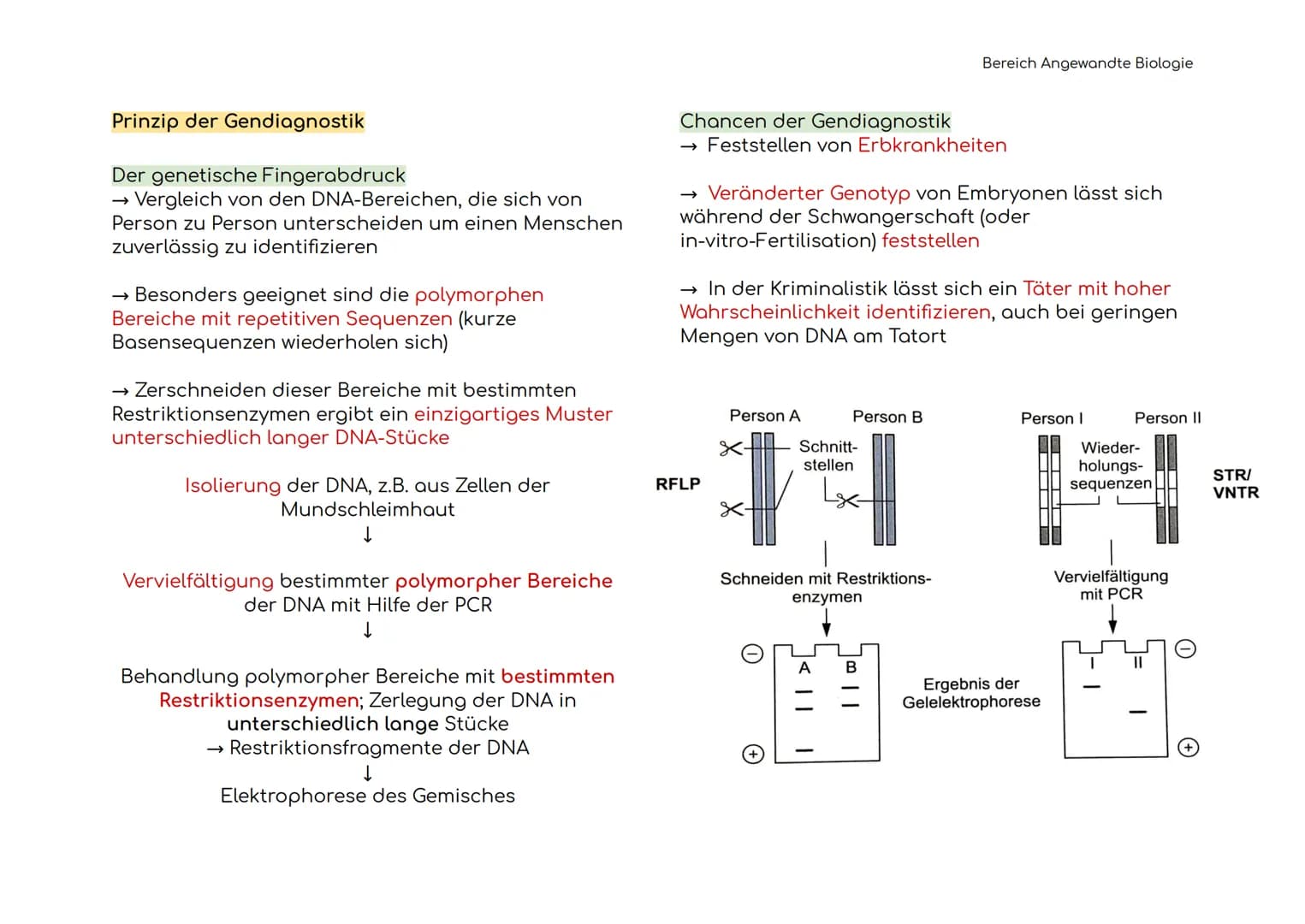 Angewandte Biologie
Definitionen der Hauptbegriffe
Gentechnik
Restriktions-
enzym
Ligasen
Vektoren
Plasmid
→ Technik der Manipulation und
Er