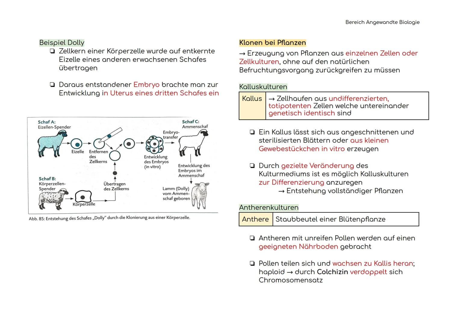 Angewandte Biologie
Definitionen der Hauptbegriffe
Gentechnik
Restriktions-
enzym
Ligasen
Vektoren
Plasmid
→ Technik der Manipulation und
Er