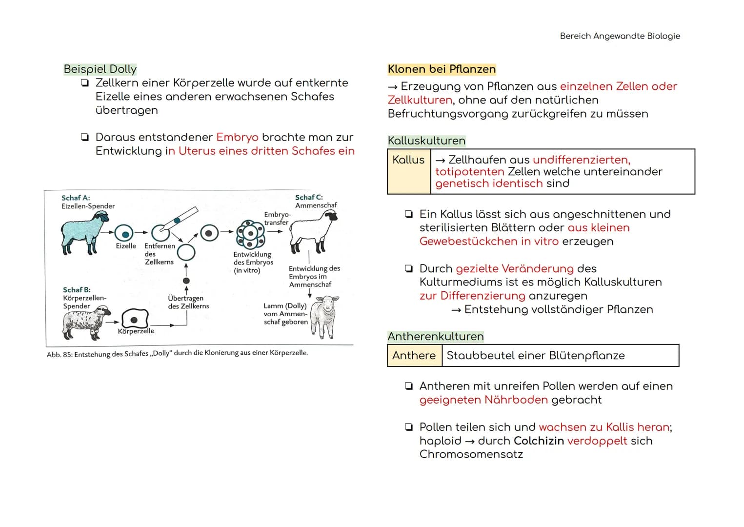 Angewandte Biologie
Definitionen der Hauptbegriffe
Gentechnik
Restriktions-
enzym
Ligasen
Vektoren
Plasmid
→ Technik der Manipulation und
Er