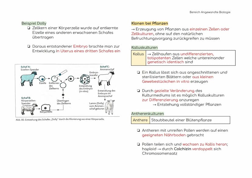 Angewandte Biologie
Definitionen der Hauptbegriffe
Gentechnik
Restriktions-
enzym
Ligasen
Vektoren
Plasmid
→ Technik der Manipulation und
Er