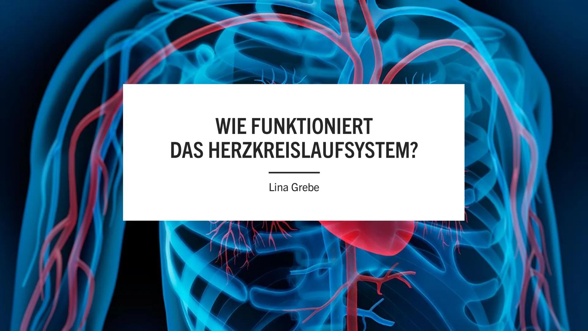 WIE FUNKTIONIERT
DAS HERZKREISLAUFSYSTEM?

Lina Grebe # Inhalt

* Übersicht
* Herzaufbau
* Abläufe
* Funktion
* Fakt
* Quellen # Übersicht

