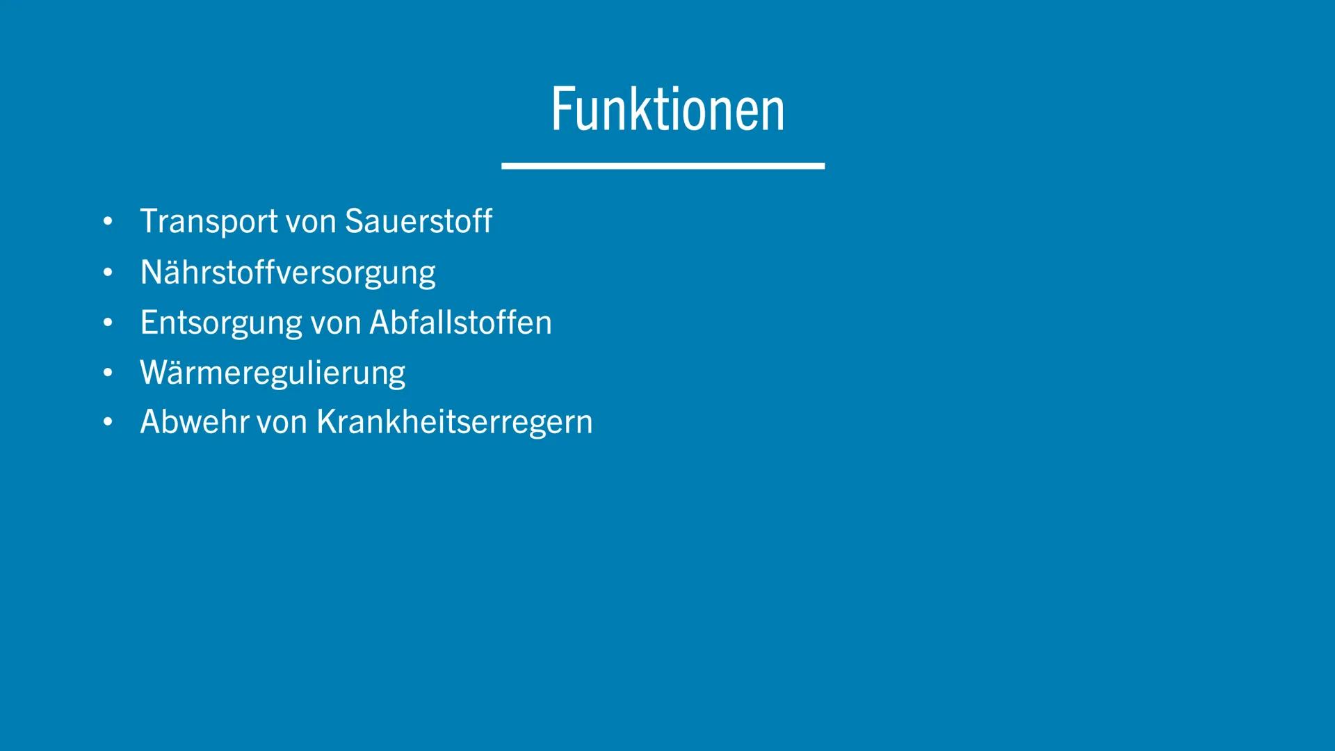WIE FUNKTIONIERT
DAS HERZKREISLAUFSYSTEM?

Lina Grebe # Inhalt

* Übersicht
* Herzaufbau
* Abläufe
* Funktion
* Fakt
* Quellen # Übersicht

