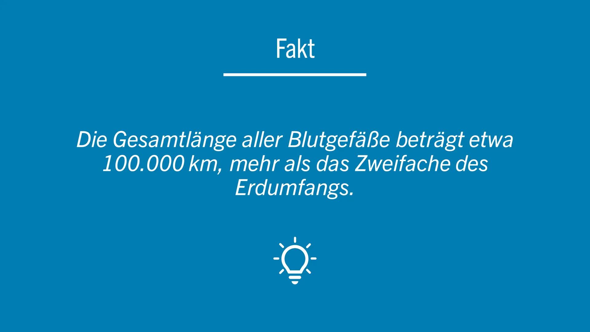 WIE FUNKTIONIERT
DAS HERZKREISLAUFSYSTEM?

Lina Grebe # Inhalt

* Übersicht
* Herzaufbau
* Abläufe
* Funktion
* Fakt
* Quellen # Übersicht

