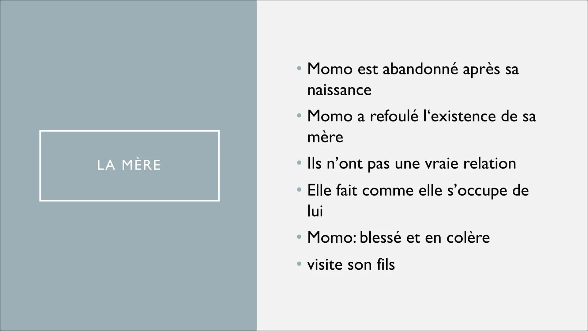 MONSIEUR IBRAHIM ET LES FLEURS DU CORAN
LA FAMILLE - ●
• Moïse
• Le père
La mère
●
Popol
• Monsieur Ibrahim
●
●
LES SUJETS
Comparaison entre