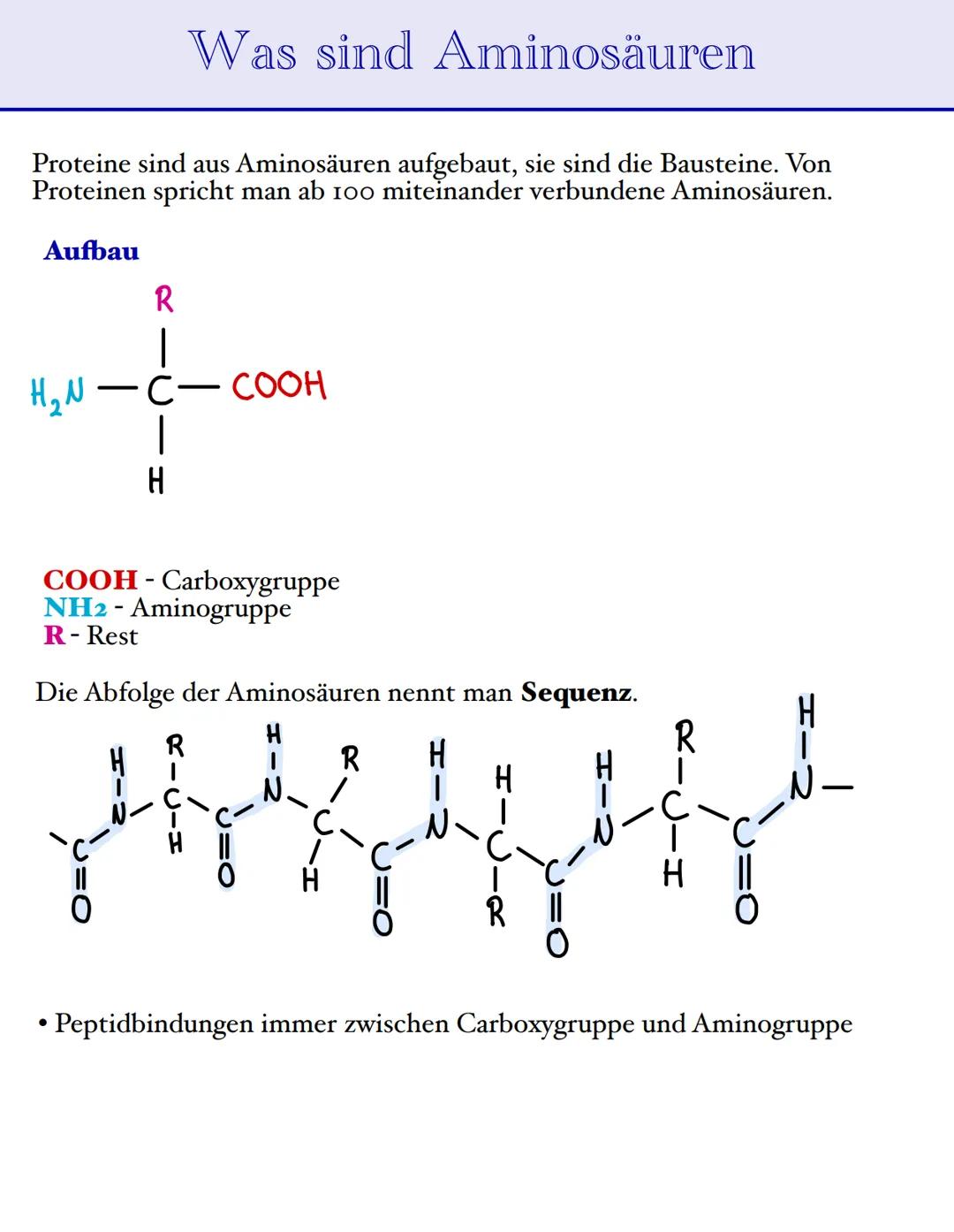 Aminosäuren
• 20 proteinogene Aminosäuren (sind regelmäßig am Aufbau von Proteinen
beteiligt)
H₂N-C-H
I
CH3
OH
Alanin (Ala)
H2N-C-н
O=C.
CH₂