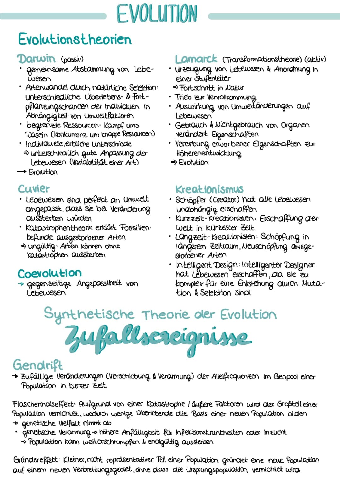 Evolution Abiturlernzettel