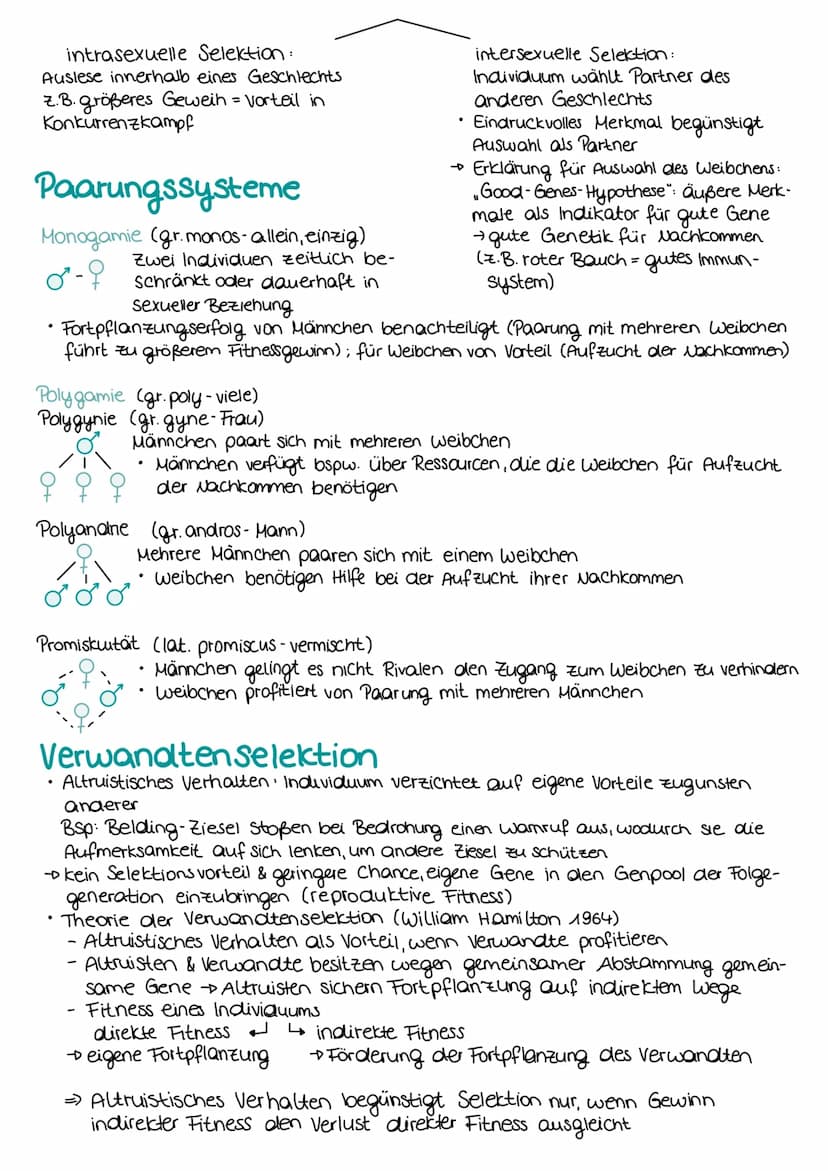 EVOLUTION
Evolutionstheorien
Darwin (passiv)
gemeinsame Abstammung von Lebe-
wesen
Artenwandel durch natürliche Selektion:
unterschiedliche 