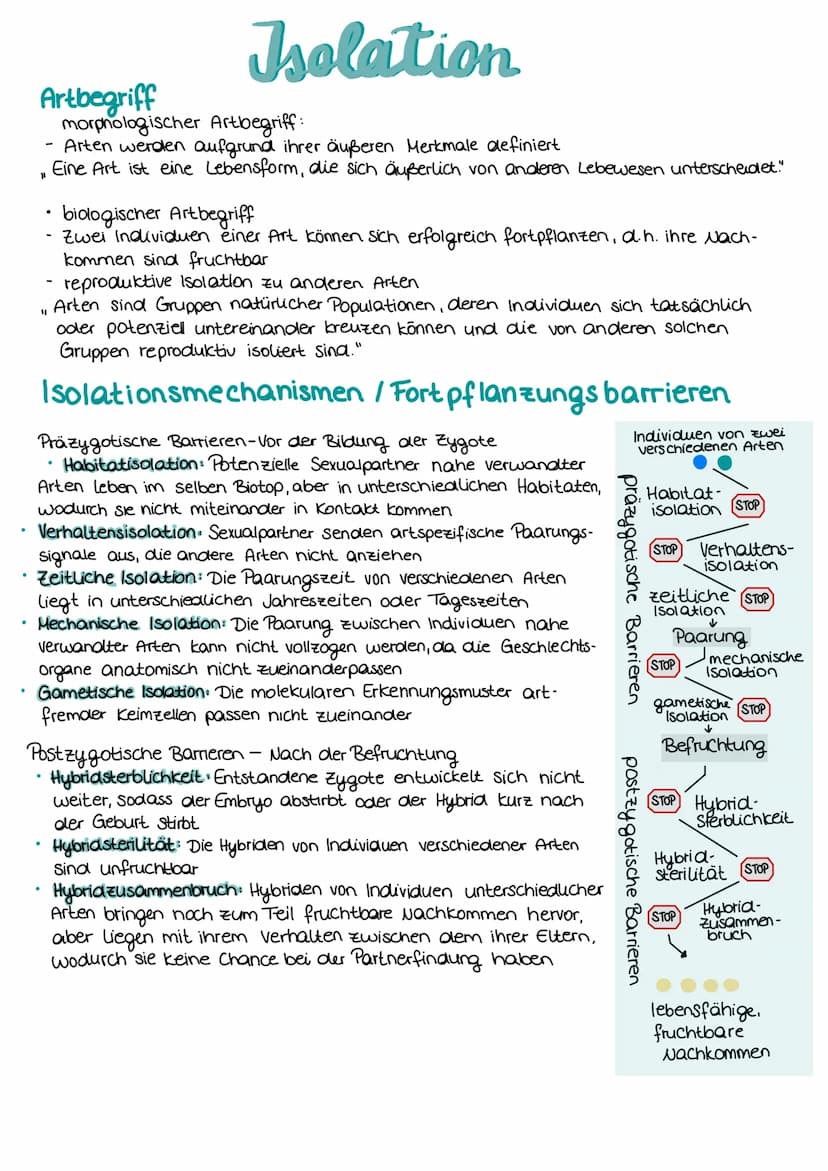 EVOLUTION
Evolutionstheorien
Darwin (passiv)
gemeinsame Abstammung von Lebe-
wesen
Artenwandel durch natürliche Selektion:
unterschiedliche 