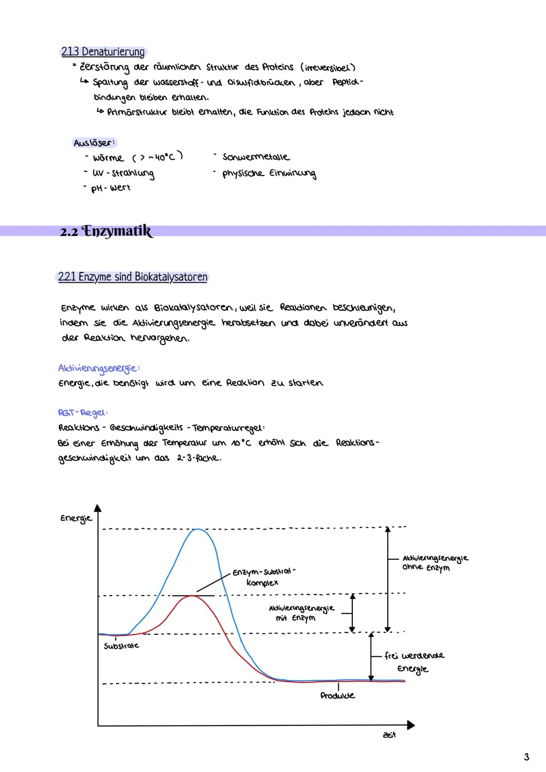 2.1 Proteine
2.1.1 Aufbau und Funktion von Proteinen
Enzymatik
H-N
- Proteine bestehen aus Ketten von Aminosäuren (AS über Peptidbindungen
m