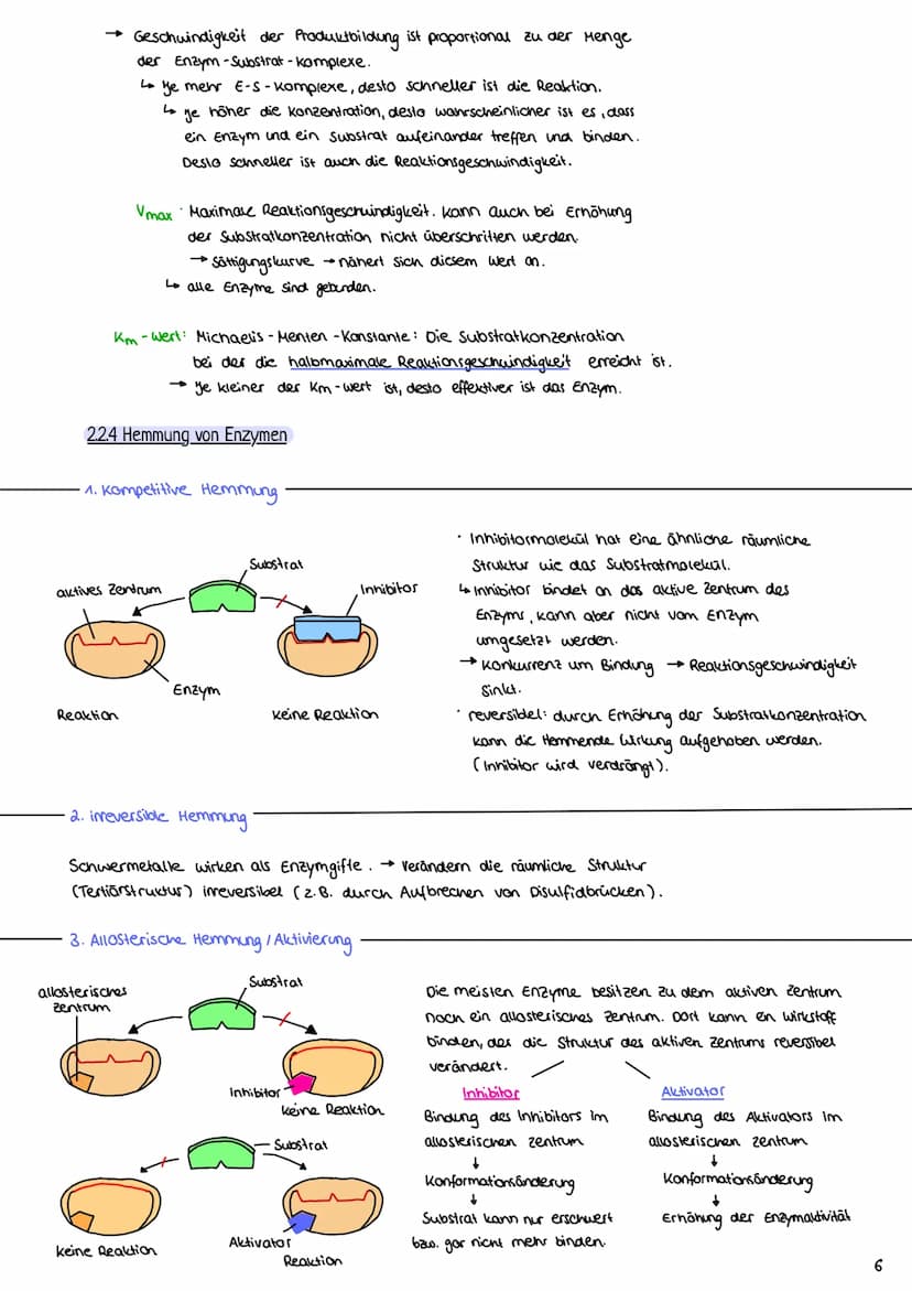 2.1 Proteine
2.1.1 Aufbau und Funktion von Proteinen
Enzymatik
H-N
- Proteine bestehen aus Ketten von Aminosäuren (AS über Peptidbindungen
m