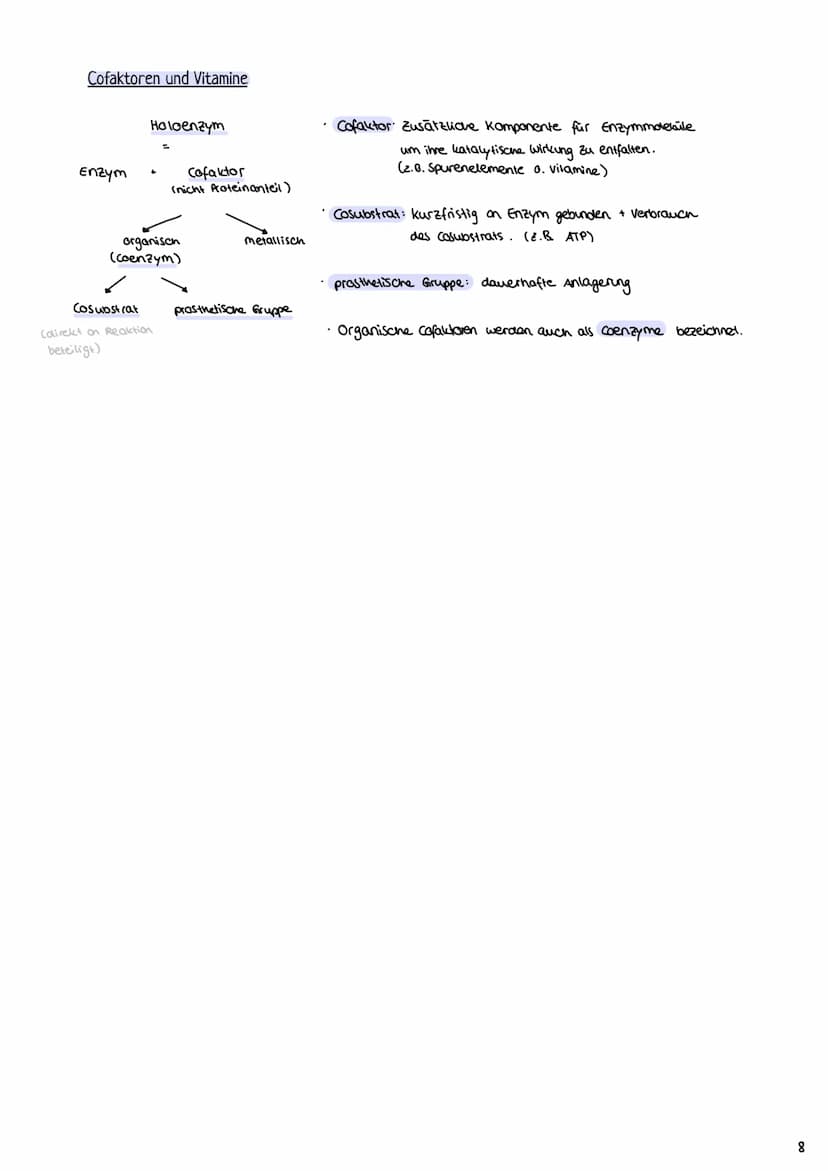 2.1 Proteine
2.1.1 Aufbau und Funktion von Proteinen
Enzymatik
H-N
- Proteine bestehen aus Ketten von Aminosäuren (AS über Peptidbindungen
m